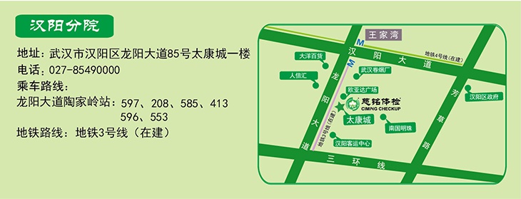 汉阳分院